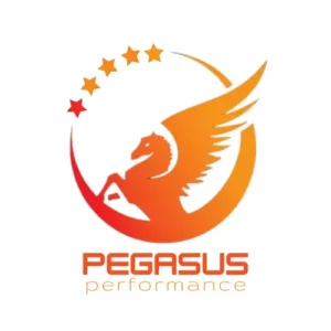 pegasus performance